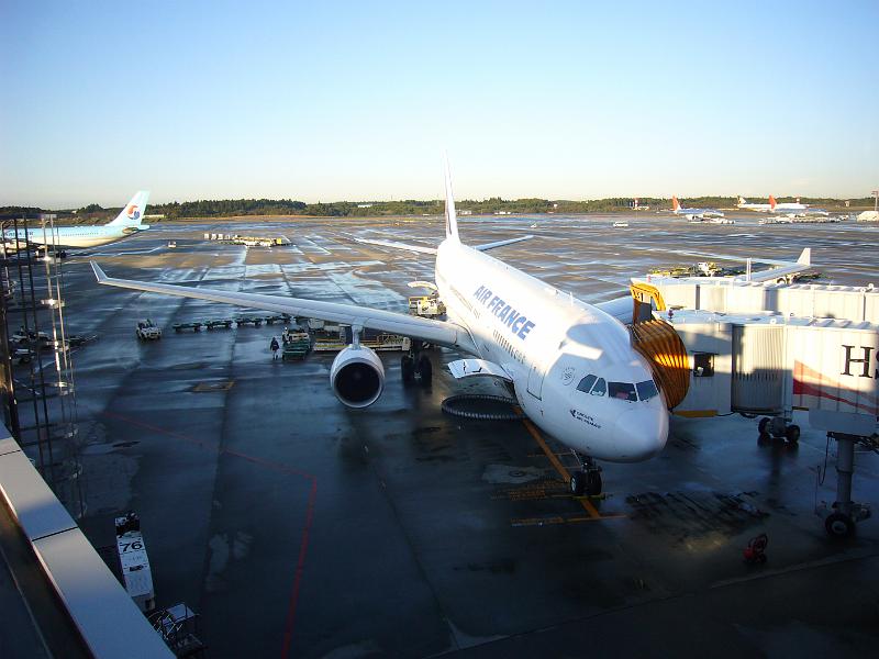 foto_20071111_2303_01.jpg - [de]Es muss heute nacht in Tokyo geregnet haben, der Tag ist aber fantastisch.[en]It must have rained last night in Tokyo, but today the weather is great.