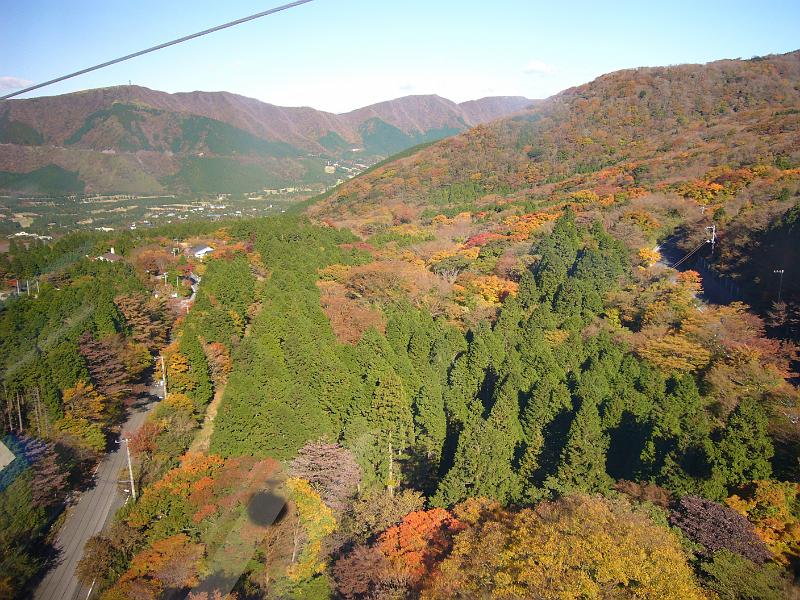 foto_20071113_0937_01.jpg - [de]Die Wälder um Hakone beginnen, sich schön herbstlich zu färben.[en]The woods around Hakone start to show their autumn leafs.
