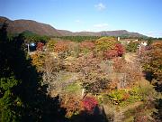 foto_20071113_1017_01