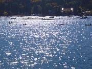 foto_20071113_1112_01