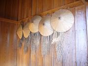 foto_20071113_1137_02