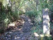 foto_20071113_1352_01