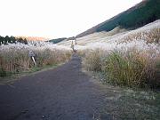 foto_20071113_1626_01