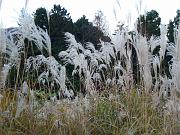 foto_20071113_1628_02