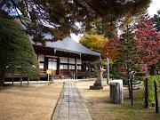 foto_20071114_1426_02