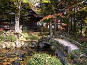 foto_20071114_1428_02