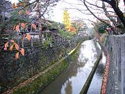 foto_20071114_1620_03