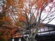 foto_20071115_0827_02