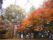 foto_20071115_0840_02