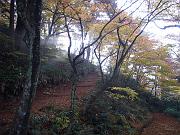 foto_20071115_0844_02