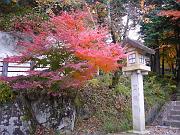 foto_20071115_0914_01