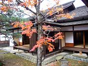 foto_20071115_0951_02