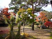 foto_20071115_0952_03