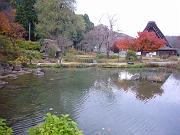 foto_20071115_1309_01