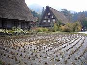 foto_20071115_1400_02