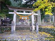 foto_20071115_1506_01