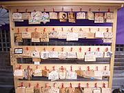 foto_20071115_1510_01