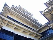 foto_20071117_1139_03