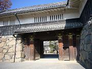 foto_20071117_1150_01