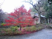 foto_20071117_1537_02