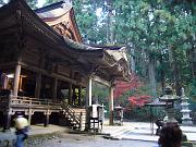 foto_20071117_1547_01