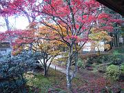 foto_20071117_1555_02