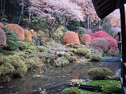 foto_20071117_1557_01