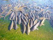 foto_20071119_1209_01