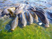 foto_20071119_1209_02