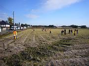 foto_20071121_1428_01